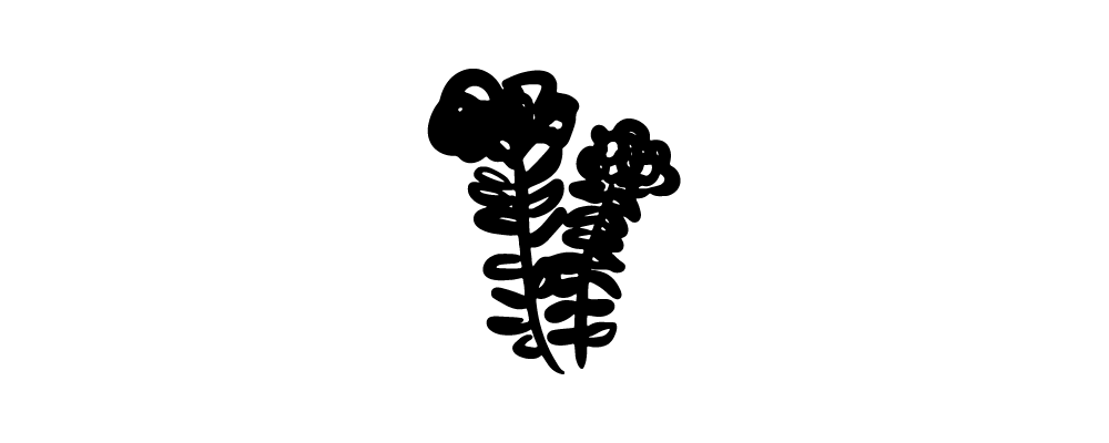 RHODIOLA ROOT