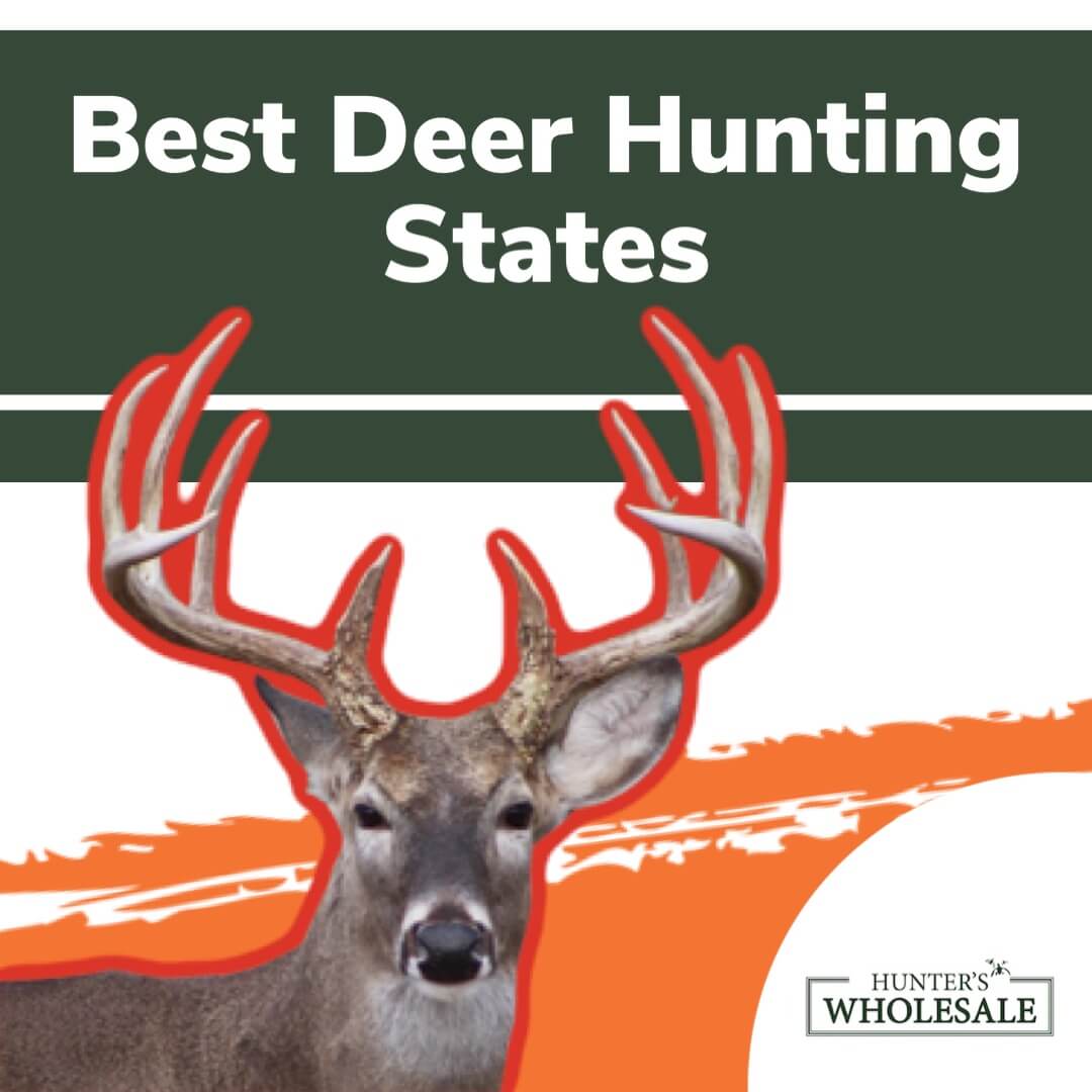 The 10 Best Deer Hunting States In America Hunter’s Wholesale