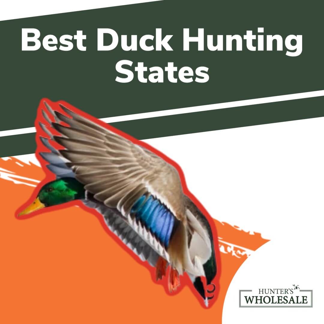 THE BEST 10 Hunting & Fishing Supplies in DOVER, VT, UNITED STATES