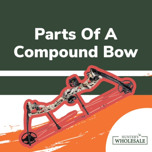 Parts of a Compound Bow