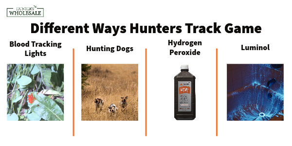 Different Ways Hunters Track Game