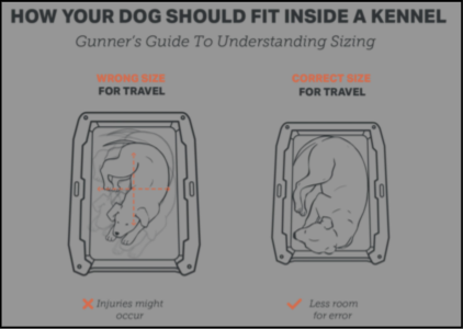 How Your Dog Should Fit In A Kennel