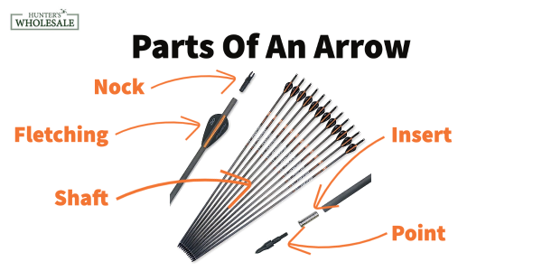Parts Of An Arrow Illustration