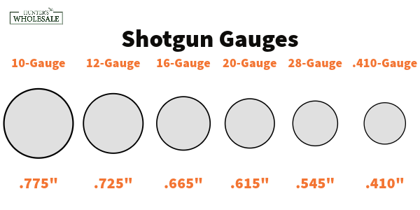 Shotgun Guage Types