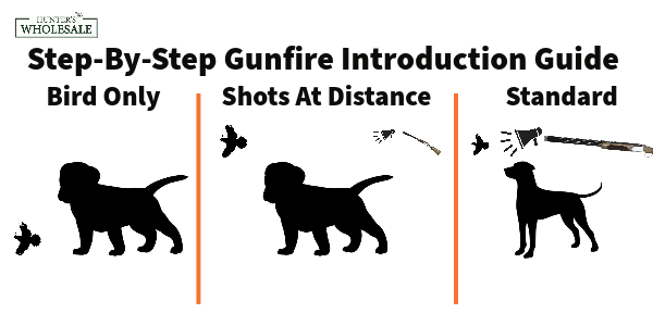 Step-By-Step Gunfire Introduction Guide