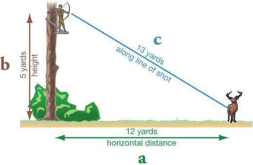 Treestand Shot Angle