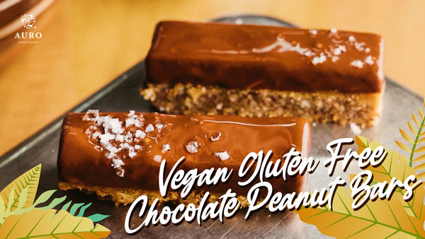 Auro Chocolate Vegan GF Peanut Bars