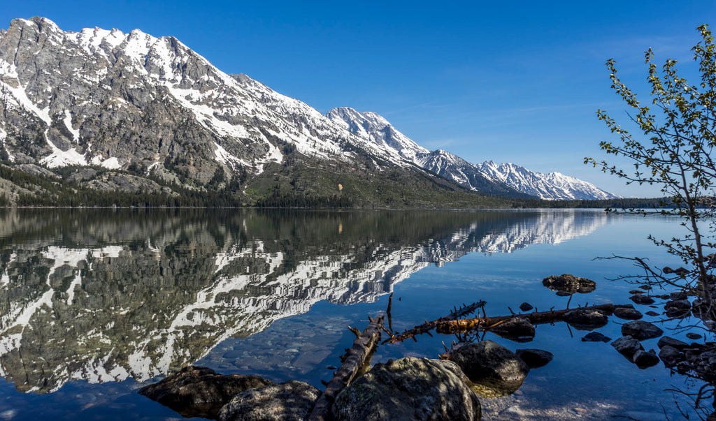 8 Best US Places To Go Camping In 2018 - Jenny Lake Campground, Grand Teton National Park