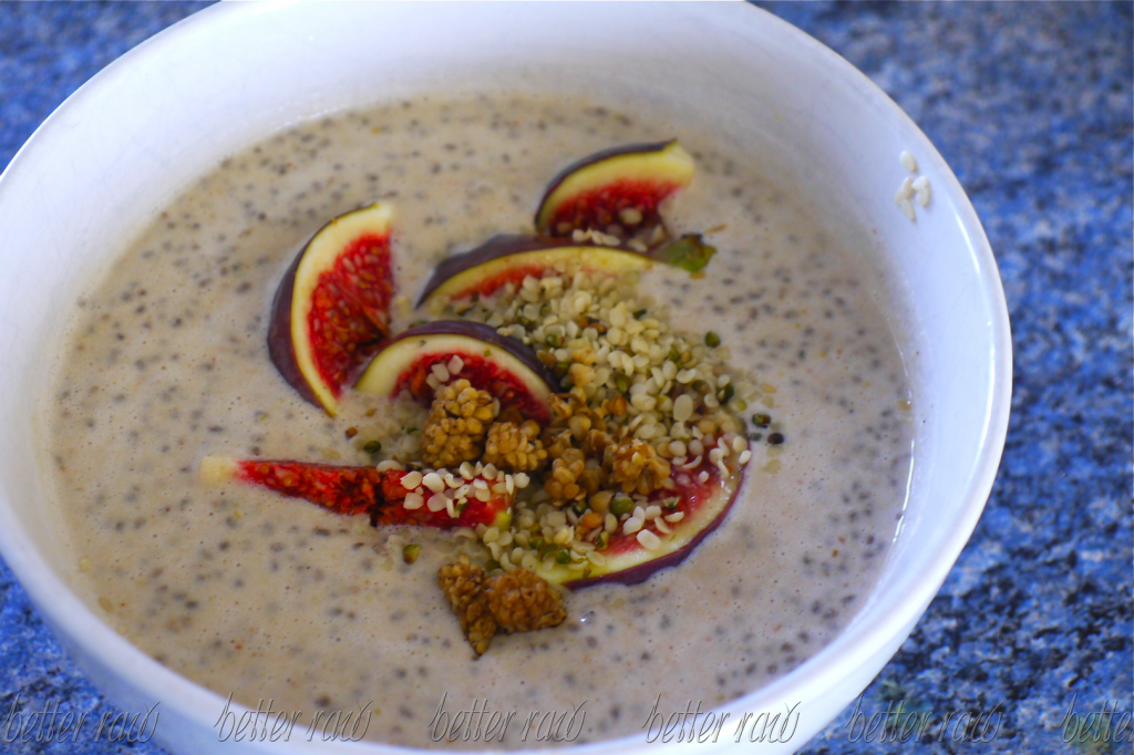 raw food chia seed apple cinnamon pudding