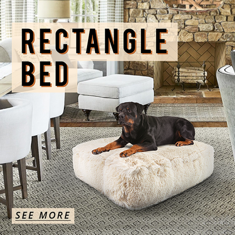 Luxurious Dog Beds Made In Usa Bessie Barnie Bessie And Barnie