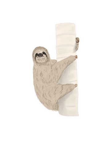 brown throated sloth illustration