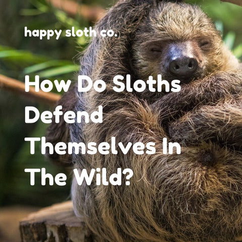 how do sloths defend themselves