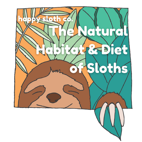sloth habitat illustration