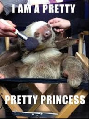 Baby sloth getting makeup put on face