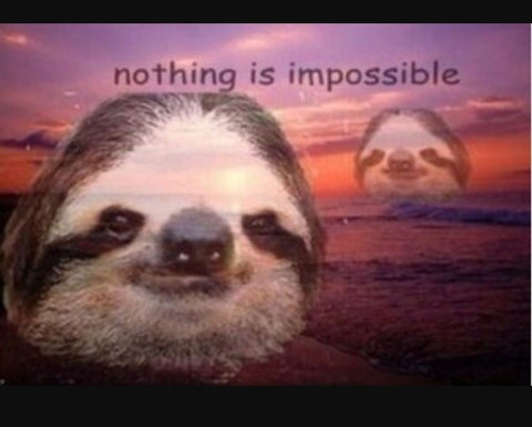 sloth excellent meme