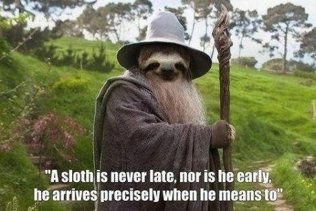 Sloth dressed as Gandalf