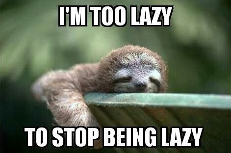 Sloth being lazy and dangling arm