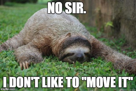 Sloth crawling across grass