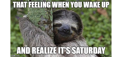 cute baby sloth meme