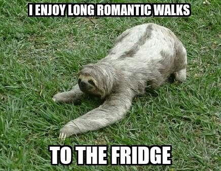 cute baby sloth meme