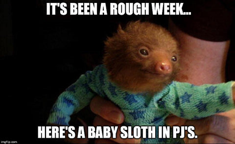 Baby sloth in green pajamas