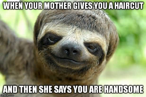 Sloth with bowl haircut