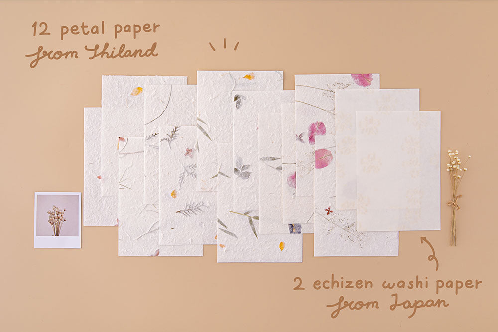 Tsuki Handmade Petal Papers with twelve petal papers from Thailand and two Echizen washi papers from Japan with polaroid picture and dried flowers on beige background