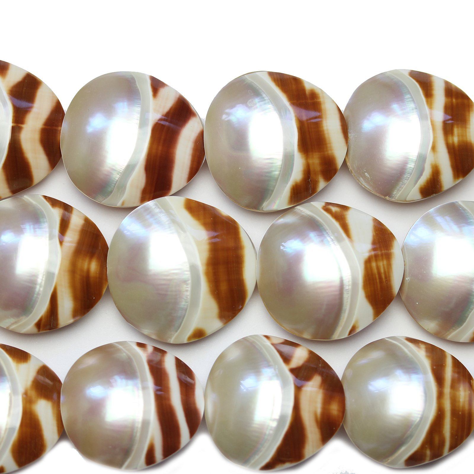 shell beads