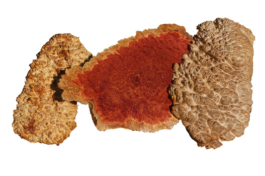 8-2-22 Red Mallee Burl Caps