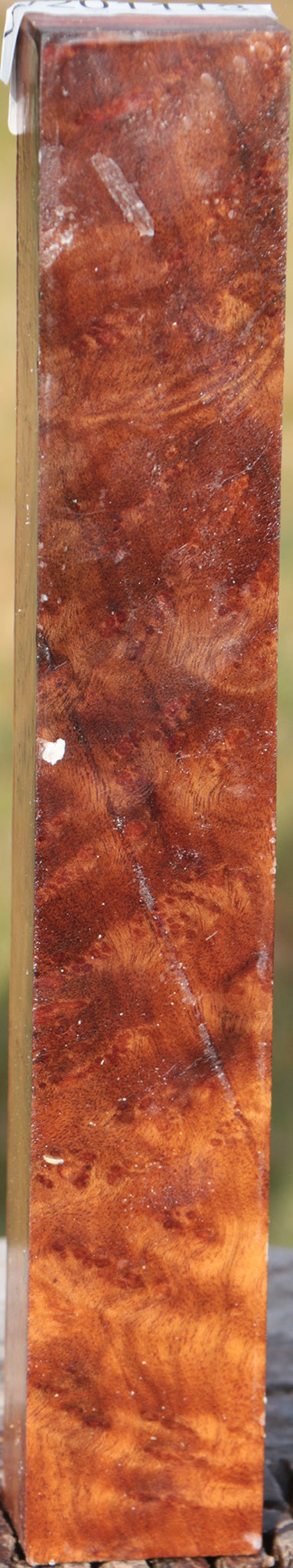 Camphor Burl – Cook Woods