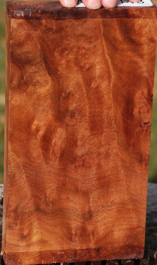 Camphor Burl – Cook Woods