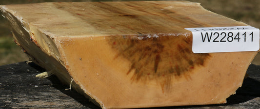 Box Elder Live Edge Bowl Blank