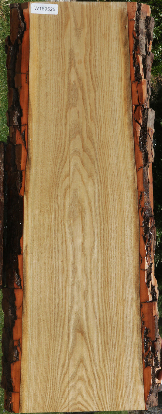 Sycamore | Live edge wood | Reclaimed wood slabs | Kiln dried wood for sale  | Trusted wood suppliers | Woodworking source