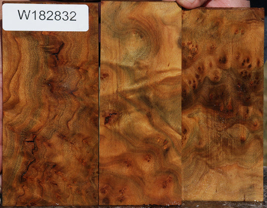 Camphor Burl Micro Lumber 3 PC Set