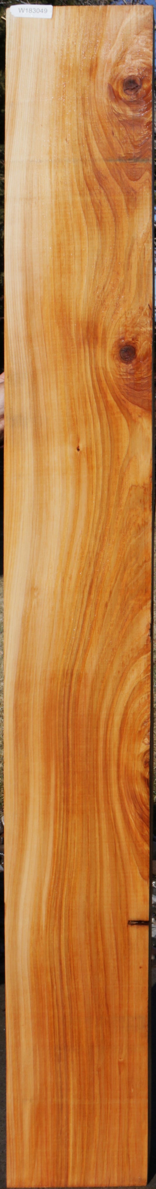 Red Cedar Slab, Live Edge Slab, Raw Cedar Halves, Large Live Edge Wood –  Strong Oaks Woodshop