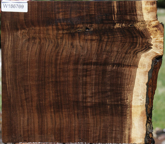 Extra Fancy Claro Walnut Live Edge Lumber