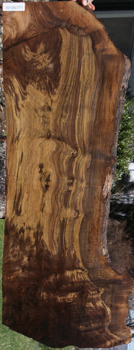 Extra Fancy Claro Walnut Live Edge Lumber