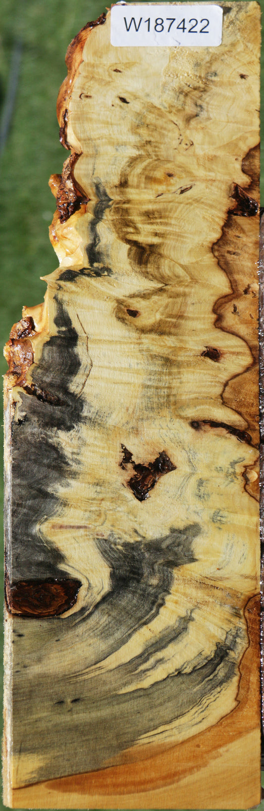 Rustic Buckeye Live Edge Lumber