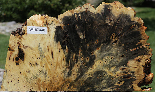 Rustic Buckeye Burl Live Edge Lumber