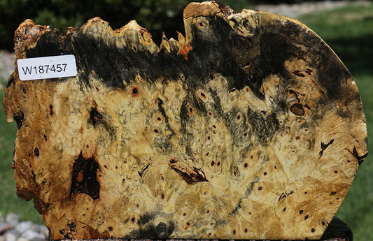 Rustic Buckeye Burl Live Edge Lumber