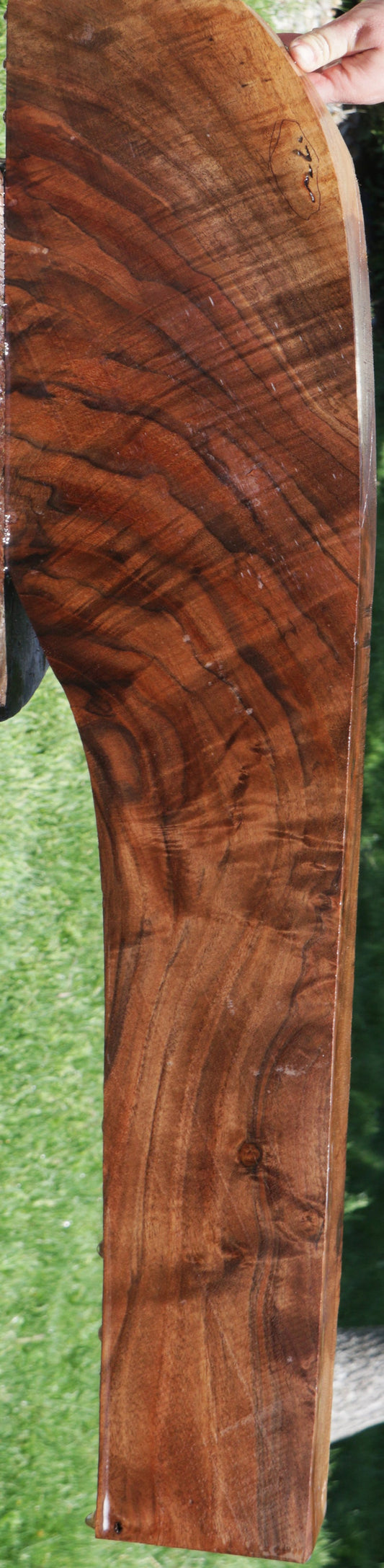 Extra Fancy Claro Walnut Rifle Stock