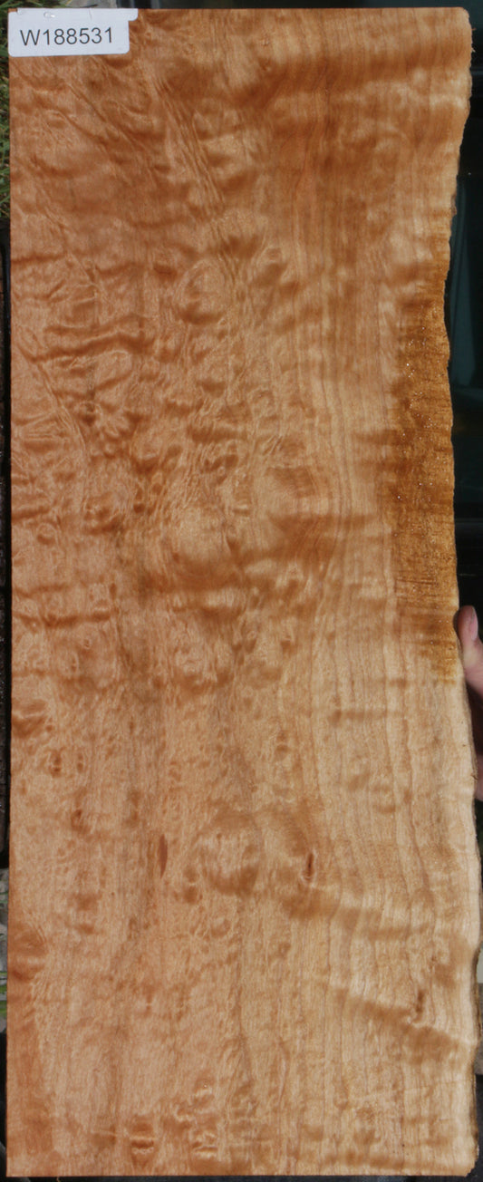 Quilted Maple Live Edge Lumber