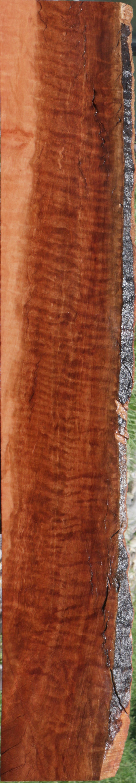 Exhibition Red Gum Live Edge Lumber