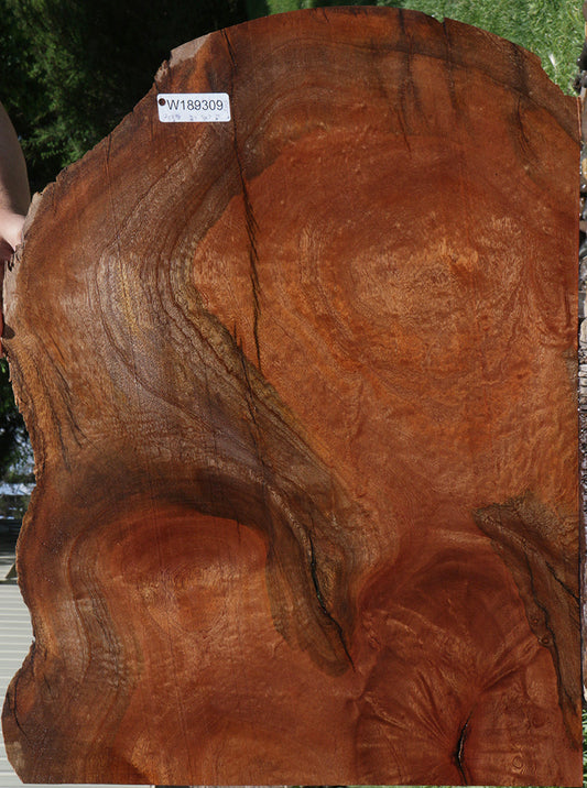 Sapele Live Edge Lumber