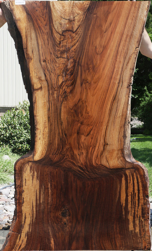 Grafted Claro Walnut Live Edge Slab (Free Shipping Excluded)