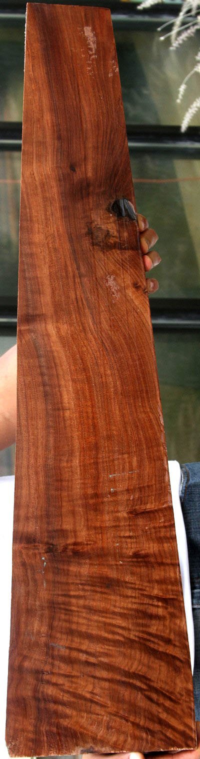 Claro Walnut Gun Blank