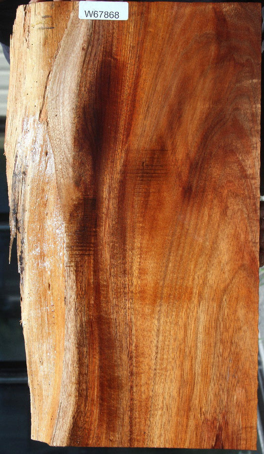 Curly Koa Live Edge Lumber (Guitar Billet)