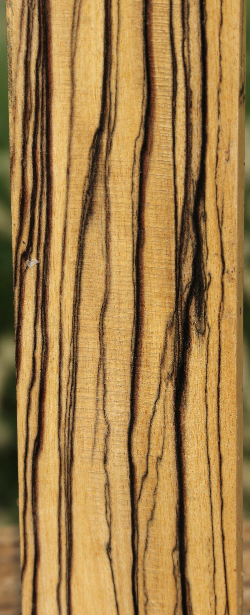 black and white ebony fretboard