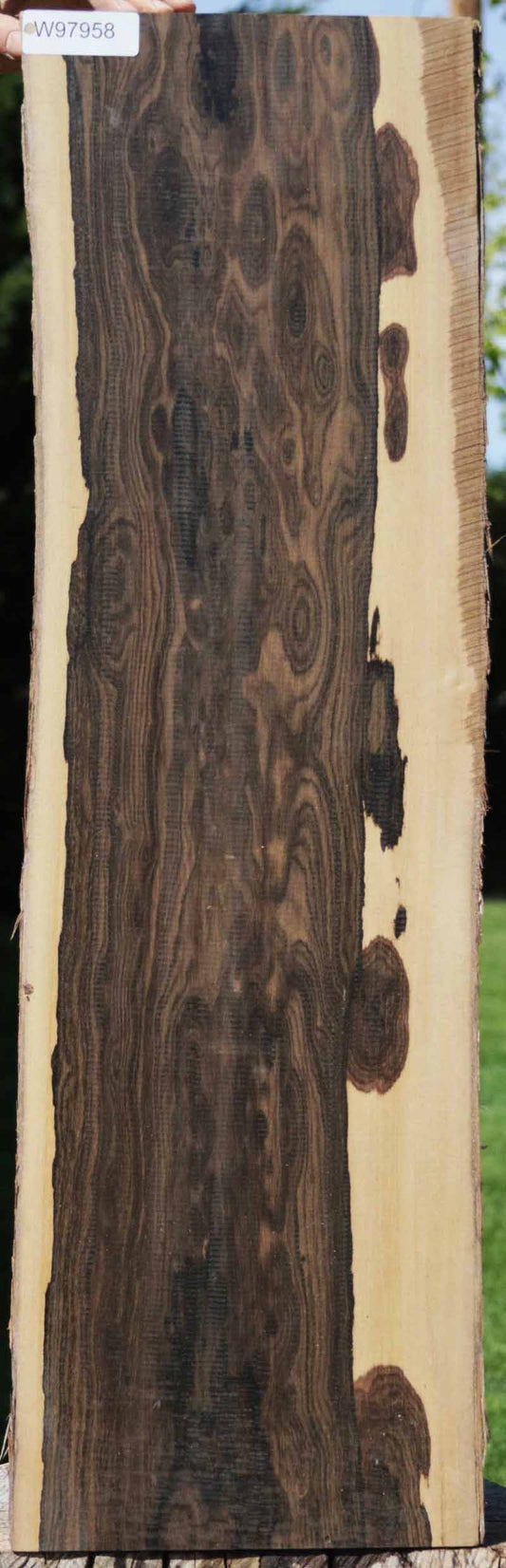 XF Figured Ziricote Live Edge Lumber (Guitar Billet)