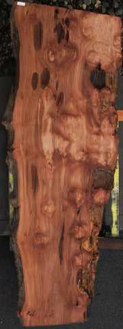 Extra Fancy Rustic Redwood Slab